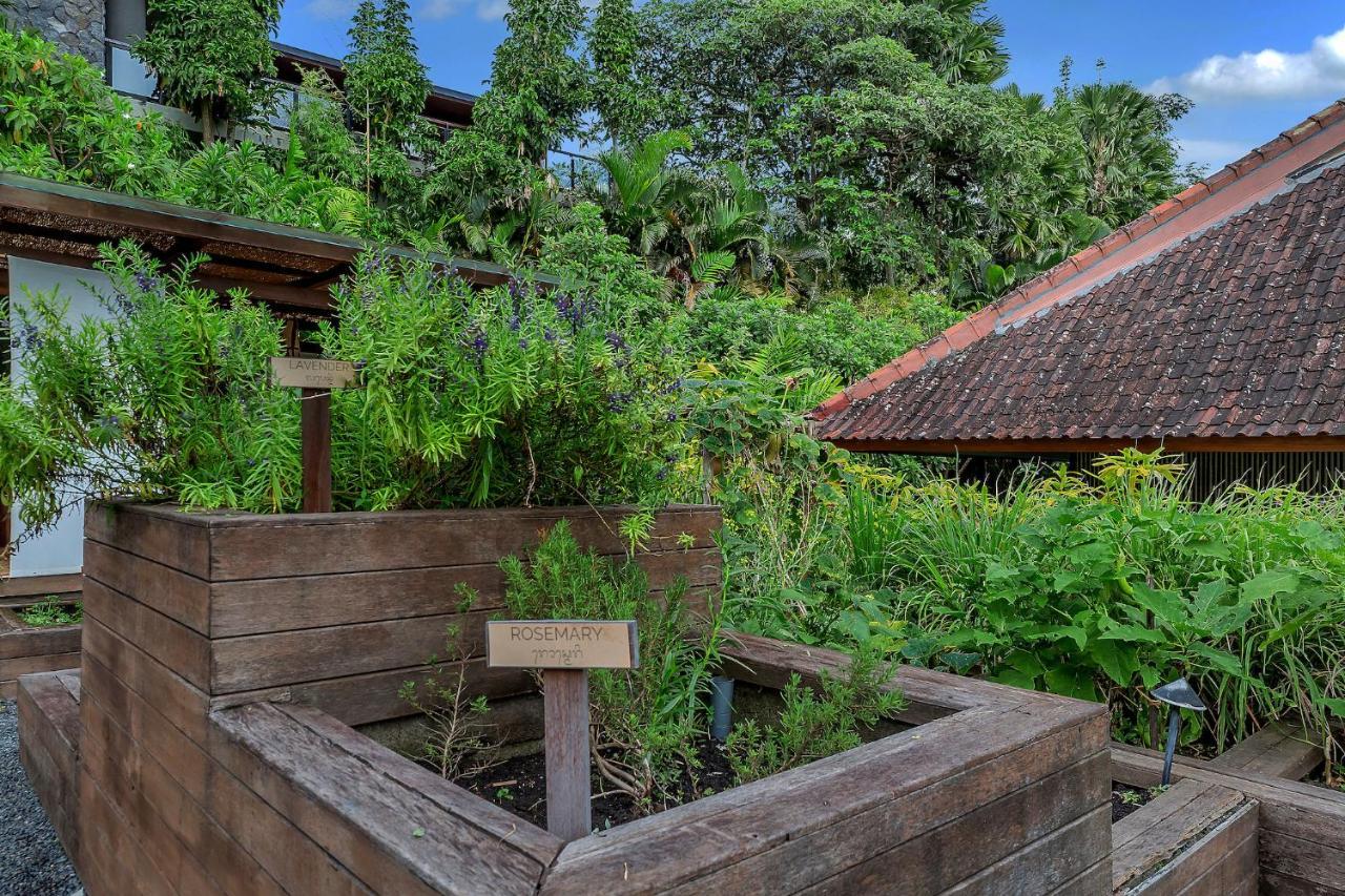 Bisma Eight Villas Ubud Zewnętrze zdjęcie